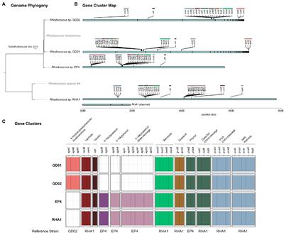 Bacterial Transformation of Aromatic Monomers in Softwood Black Liquor